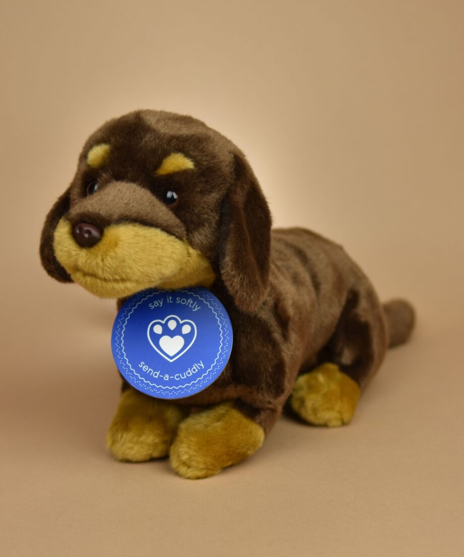 Dachshund soft toy - Send a Cuddly