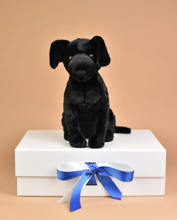 Black Labrador Cuddly Dog Teddy - send a cuddly