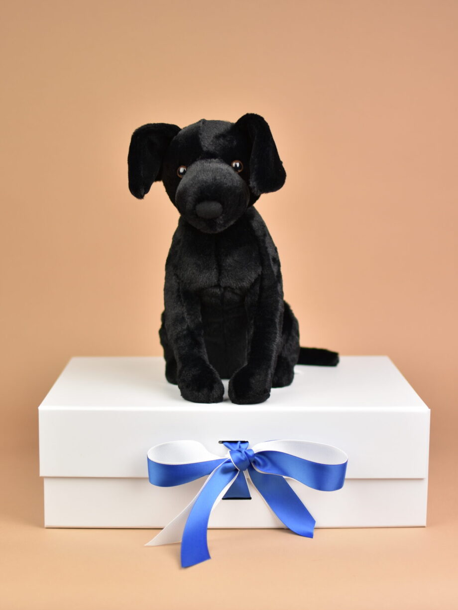 Black Labrador Cuddly Dog Teddy - send a cuddly