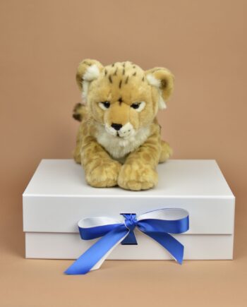 Lion cub cuddly toy - send a cuddly