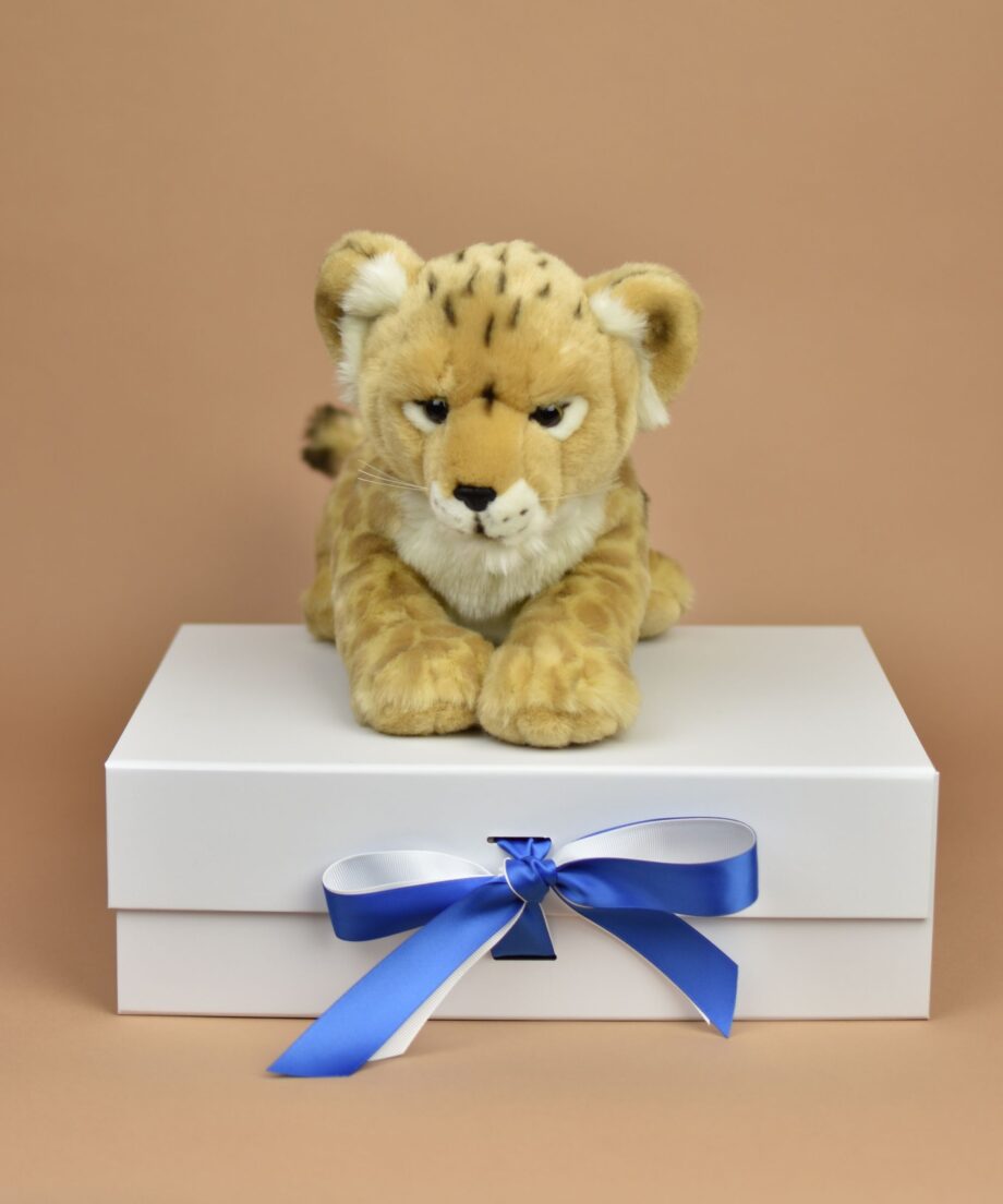 Lion cub cuddly toy - send a cuddly