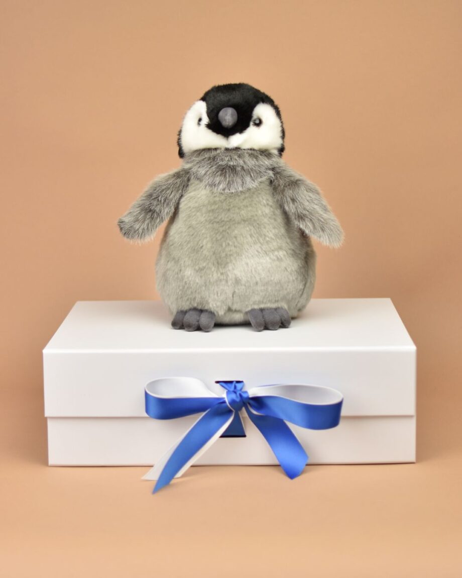 Emperor Penguin Chick