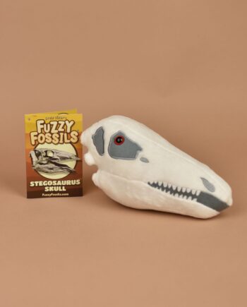 Dino Fossil Steosaurus Gift