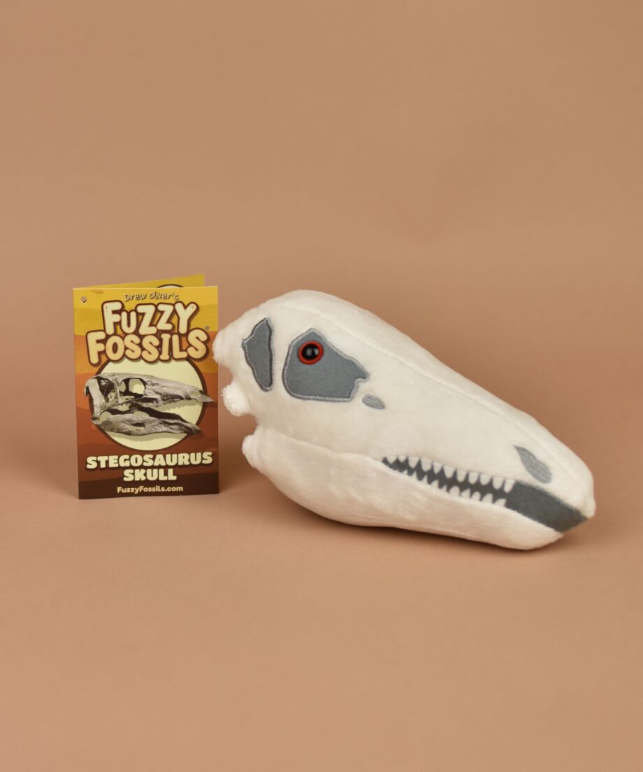 Dino Fossil Steosaurus Gift