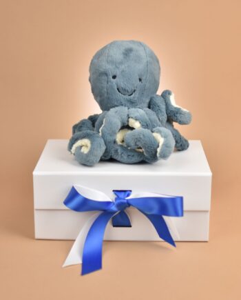 Octopus Cuddly Toy