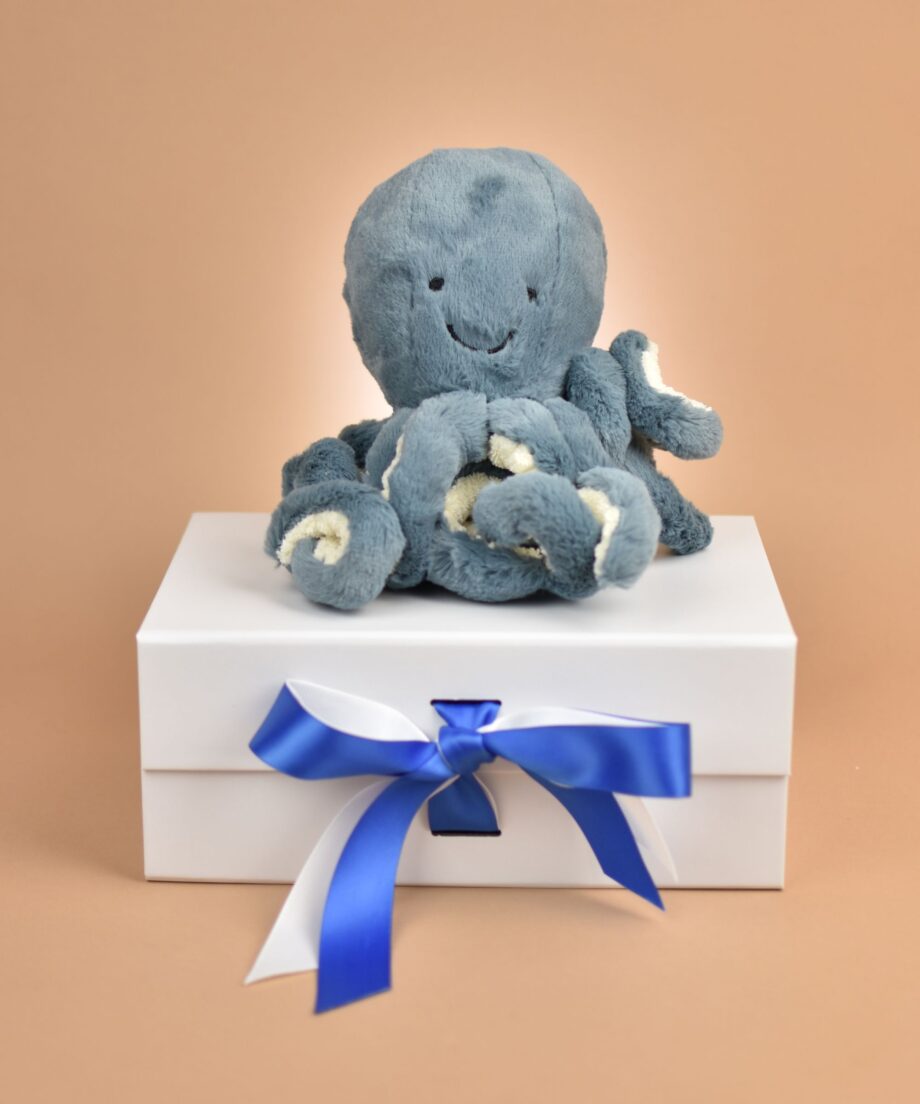 Octopus Cuddly Toy