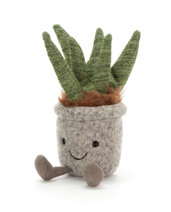 Cuddly Aloe plant