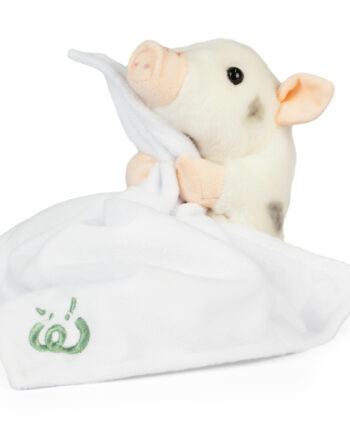 Piglet with Soother Blanket