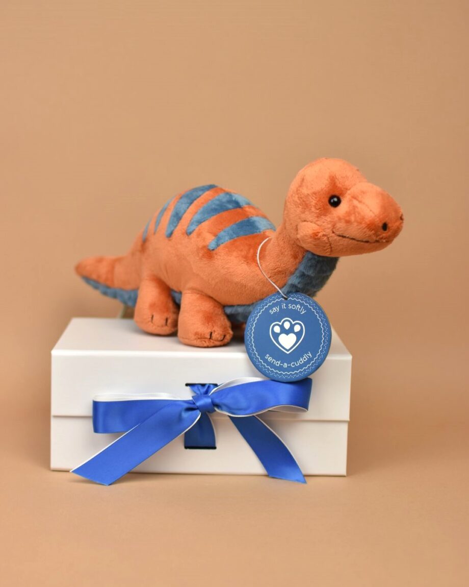 Dinosaur Cuddly for baby