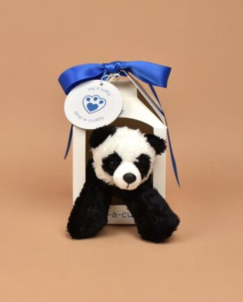 Little Panda Cuddly Toy