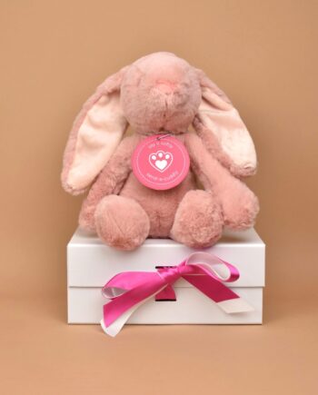 Pink Bunny cuddly