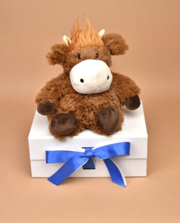 Warmies Heatable Highland Cow - send a cuddly