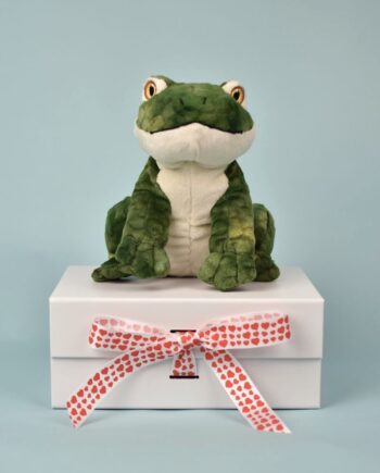 Eco Frog Soft Toy Send a Cuddly