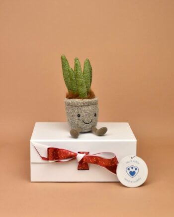 Jellycat Silly Suculant Aloe