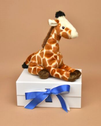 Giraffe Soft Toy