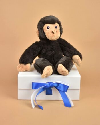 Eco Chimp soft toy