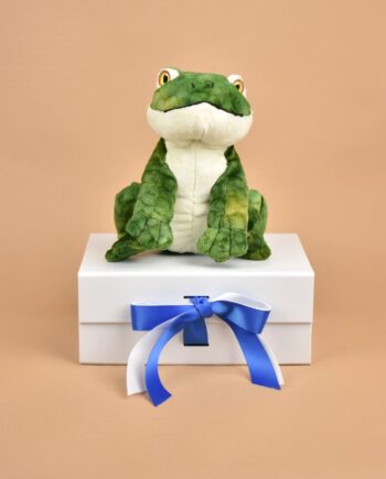 Eco Frog Soft Toy