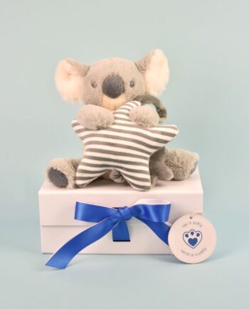 Koala Musical Pull - Send a Cuddly